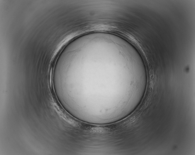 X0000116321227200912151235