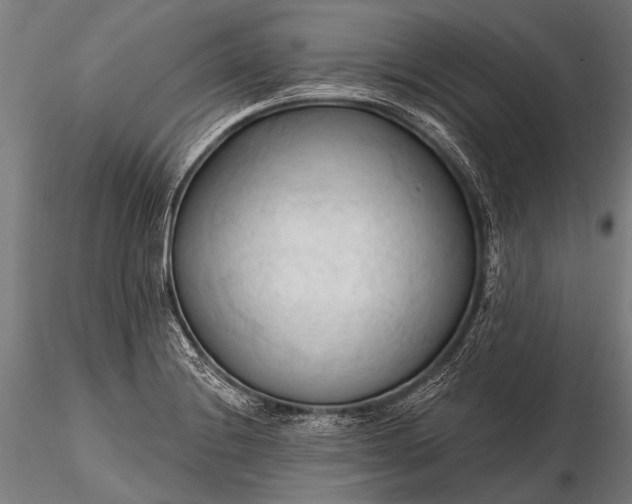 X0000116321228200912151235