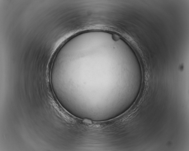 X0000116321230200912151235