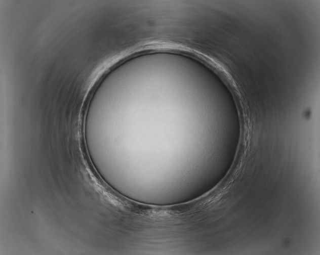 X0000116321231200912151235