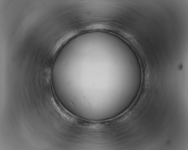 X0000116321233200912151235