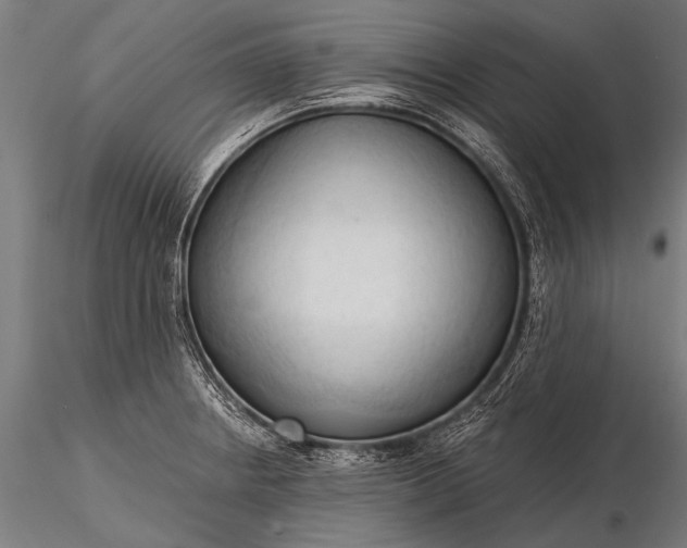 X0000116321234200912151235