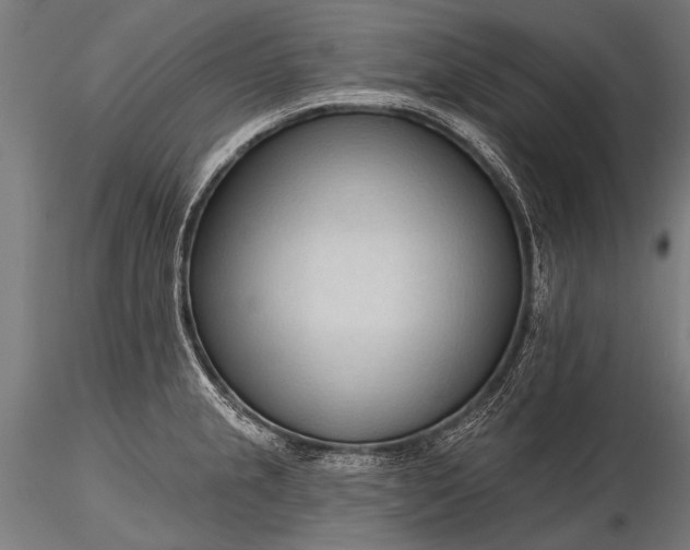 X0000116321237200912151235