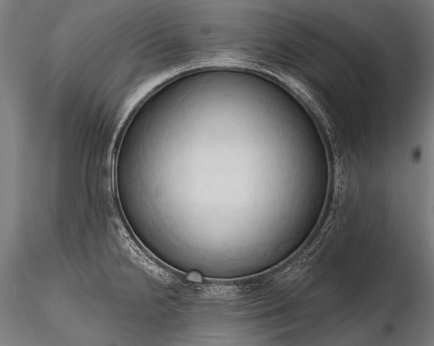 X0000116321238200912151235