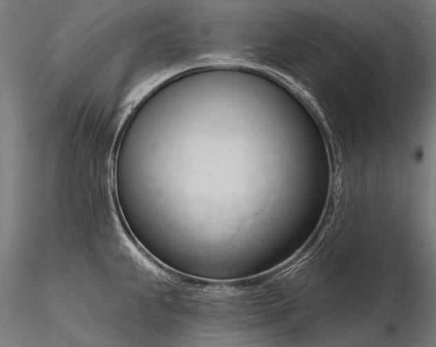 X0000116321239200912151235