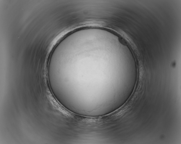 X0000116321240200912151235