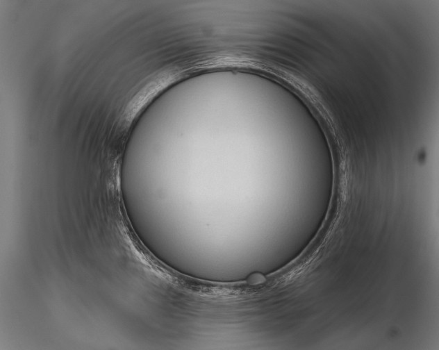 X0000116321241200912151235