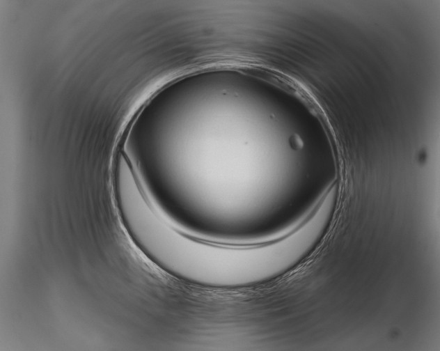 X0000116321243200912151235