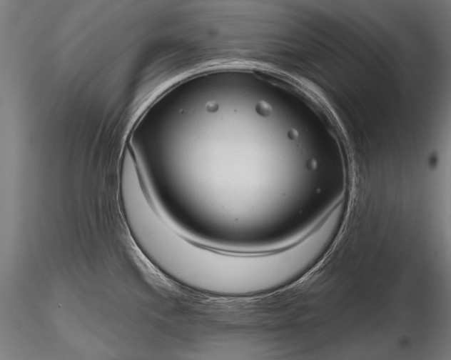 X0000116321244200912151235