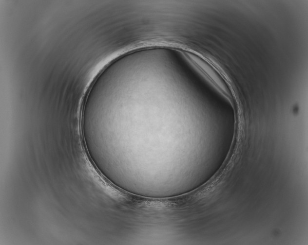 X0000116321246200912151235