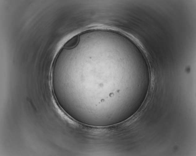 X0000116321247200912151235