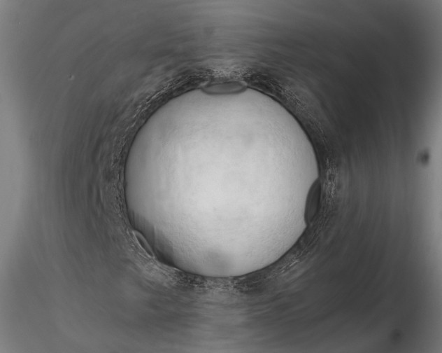 X0000116321249200912151234