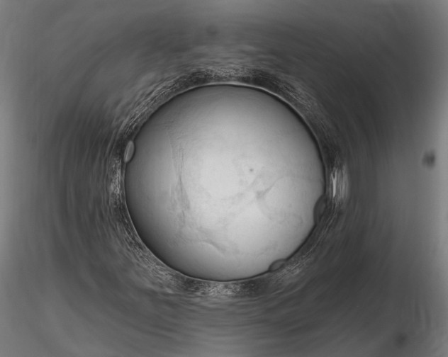 X0000116321251200912151234