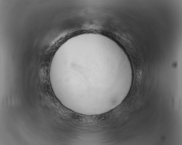 X0000116321254200912151234