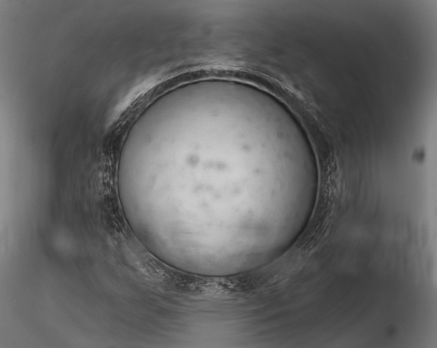 X0000116321255200912151234