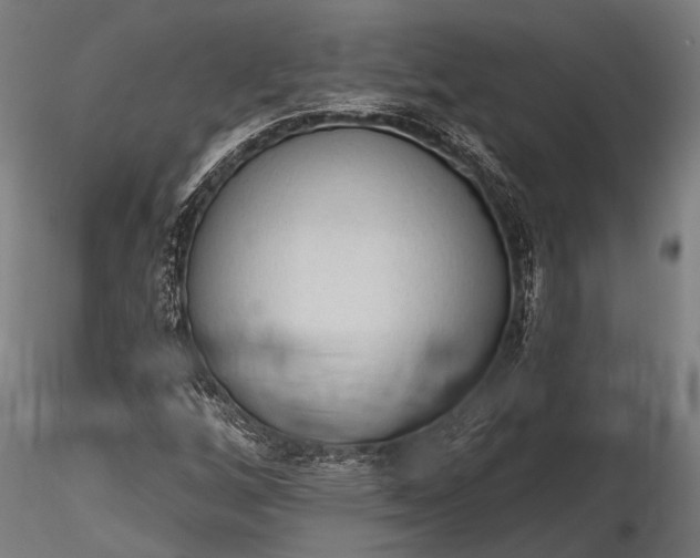 X0000116321256200912151234