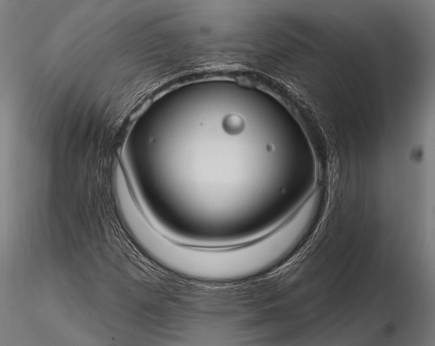 X0000116321257200912151234