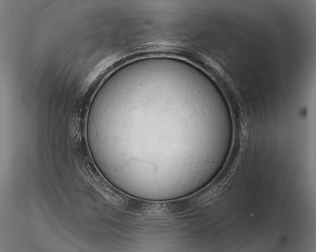 X0000116321259200912151234