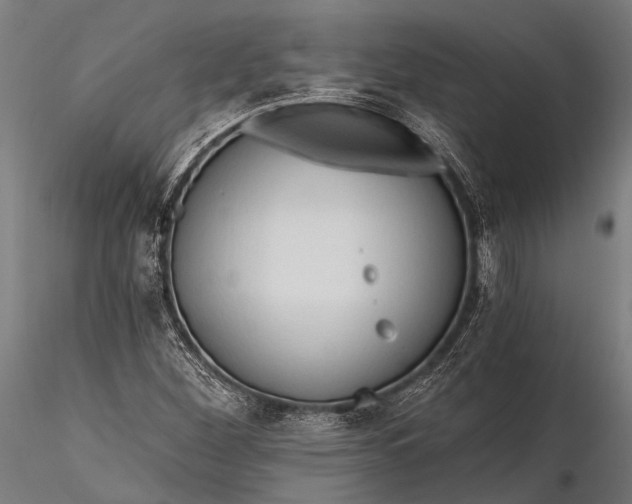 X0000116321260200912151234