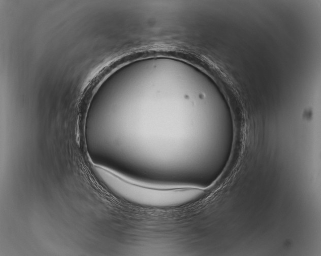 X0000116321262200912151234