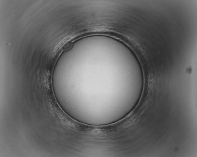 X0000116321265200912151234