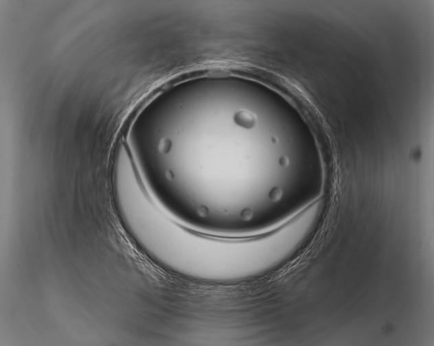 X0000116321268200912151234