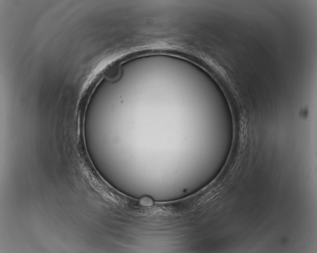 X0000116321270200912151234