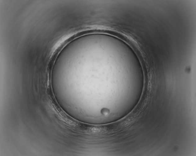 X0000116321271200912151234