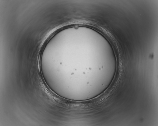 X0000116321272200912151234