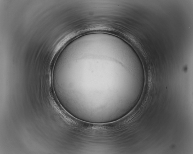 X0000116321274200912151234