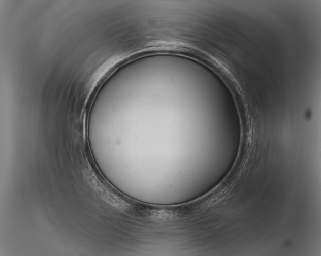 X0000116321275200912151234