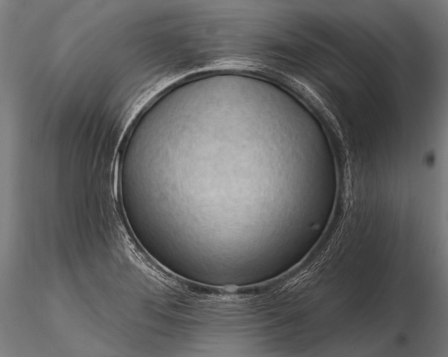 X0000116321276200912151234