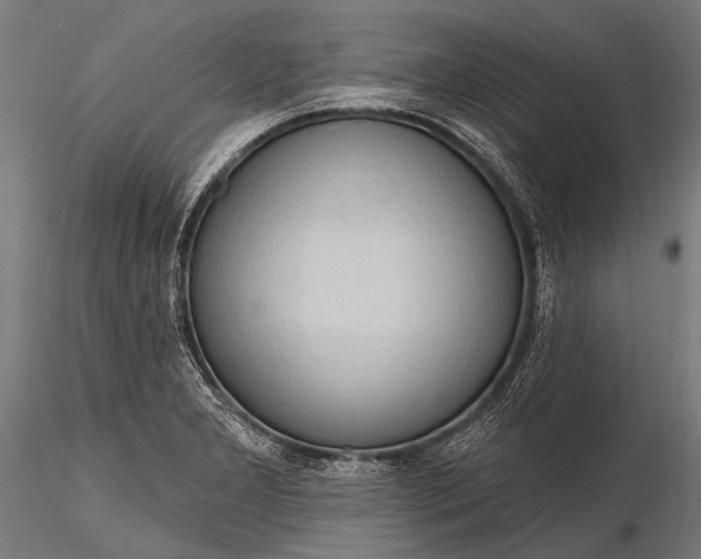 X0000116321277200912151234