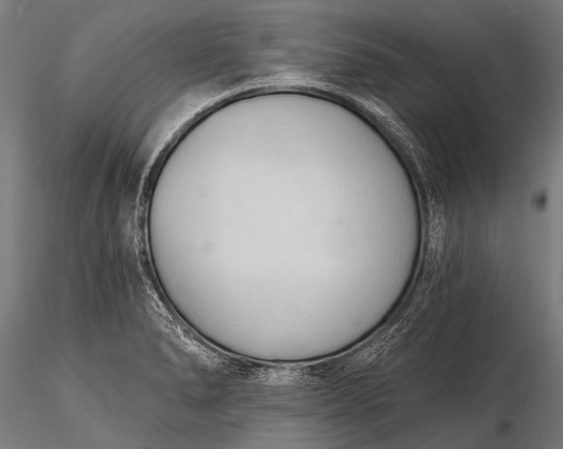 X0000116321278200912151234