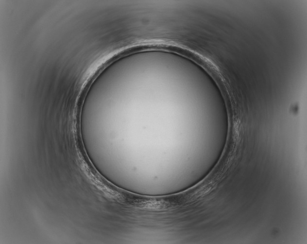 X0000116321279200912151234