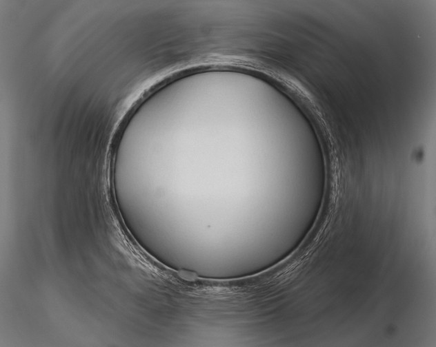 X0000116321280200912151234