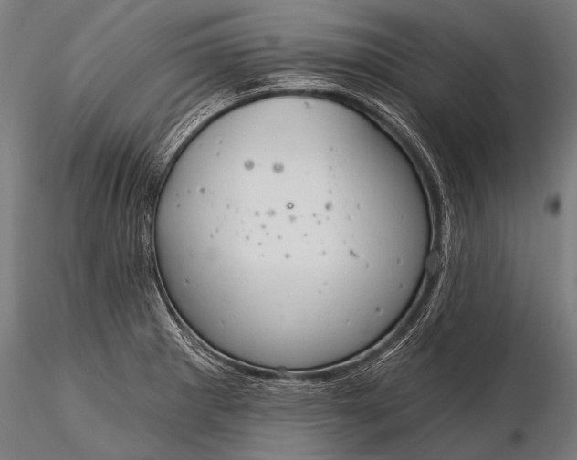 X0000116321281200912151234