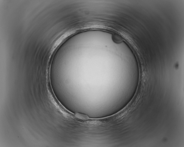 X0000116321282200912151234