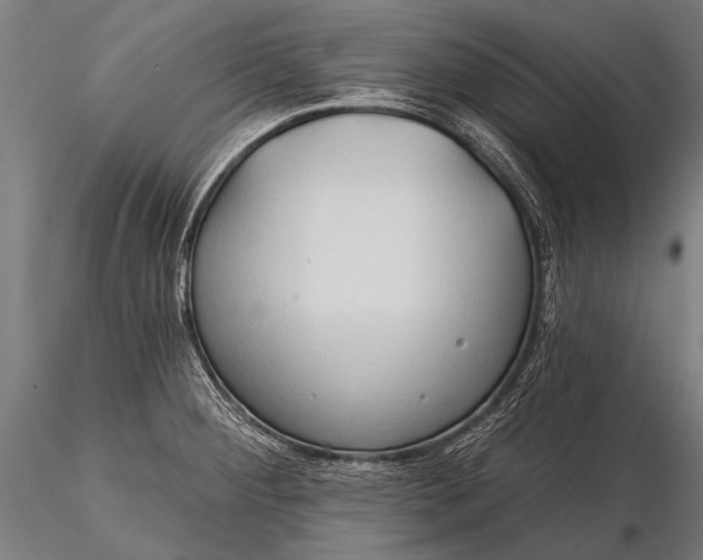 X0000116321284200912151234