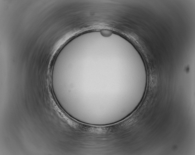 X0000116321286200912151234