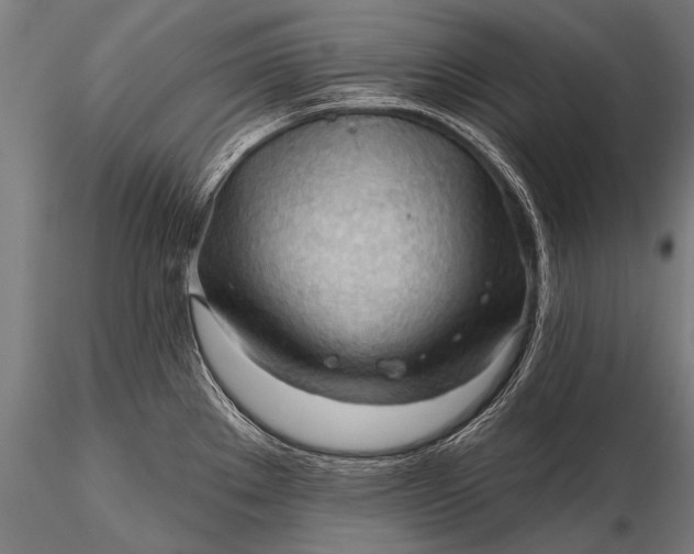 X0000116321289200912151234