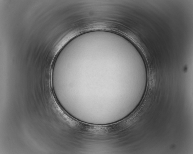 X0000116321290200912151234