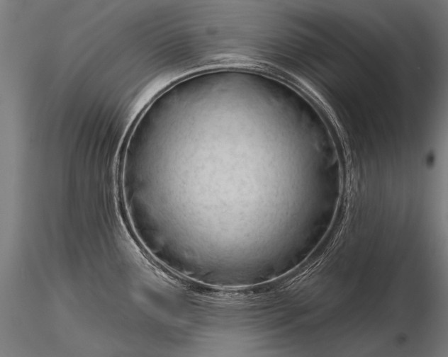 X0000116321291200912151234