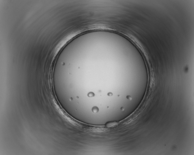 X0000116321293200912151234