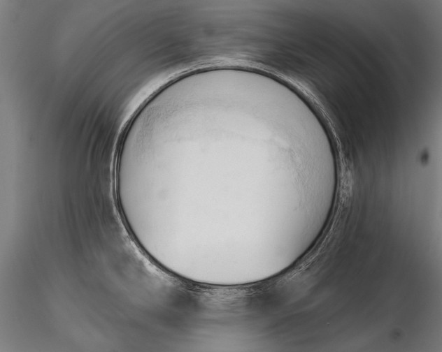 X0000116321294200912151234