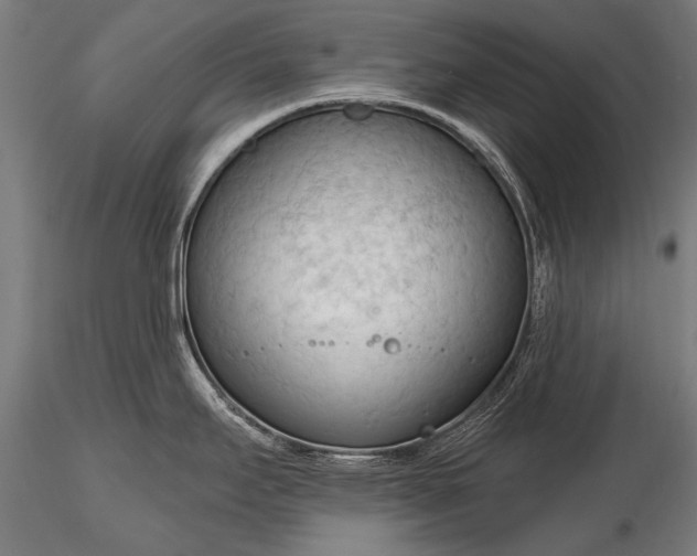 X0000116321295200912151234