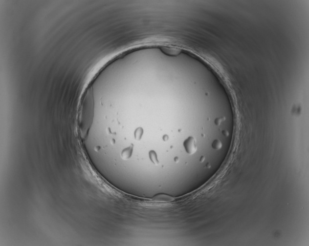 X0000116321296200912151234