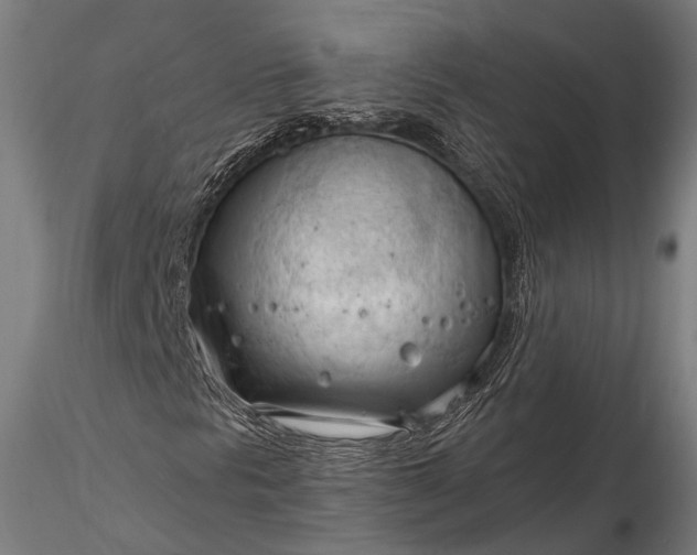 X0000116321297200912151233