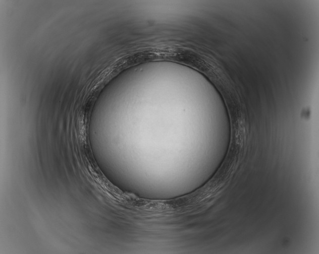 X0000116321298200912151233