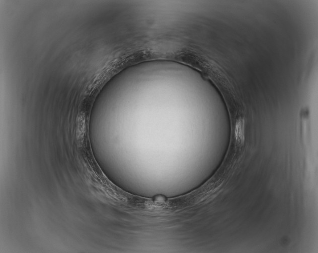 X0000116321299200912151233